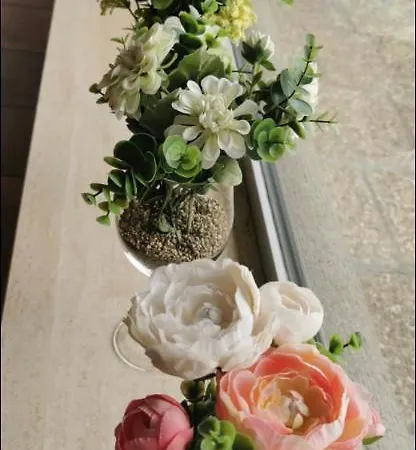 Bed & Breakfast Alpina